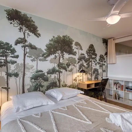 Le Carnot - Mycosyapart, Duplex Coeur De Et Lac, Climatise *